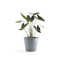 Lillepott Amsterdam 40cm sinihall