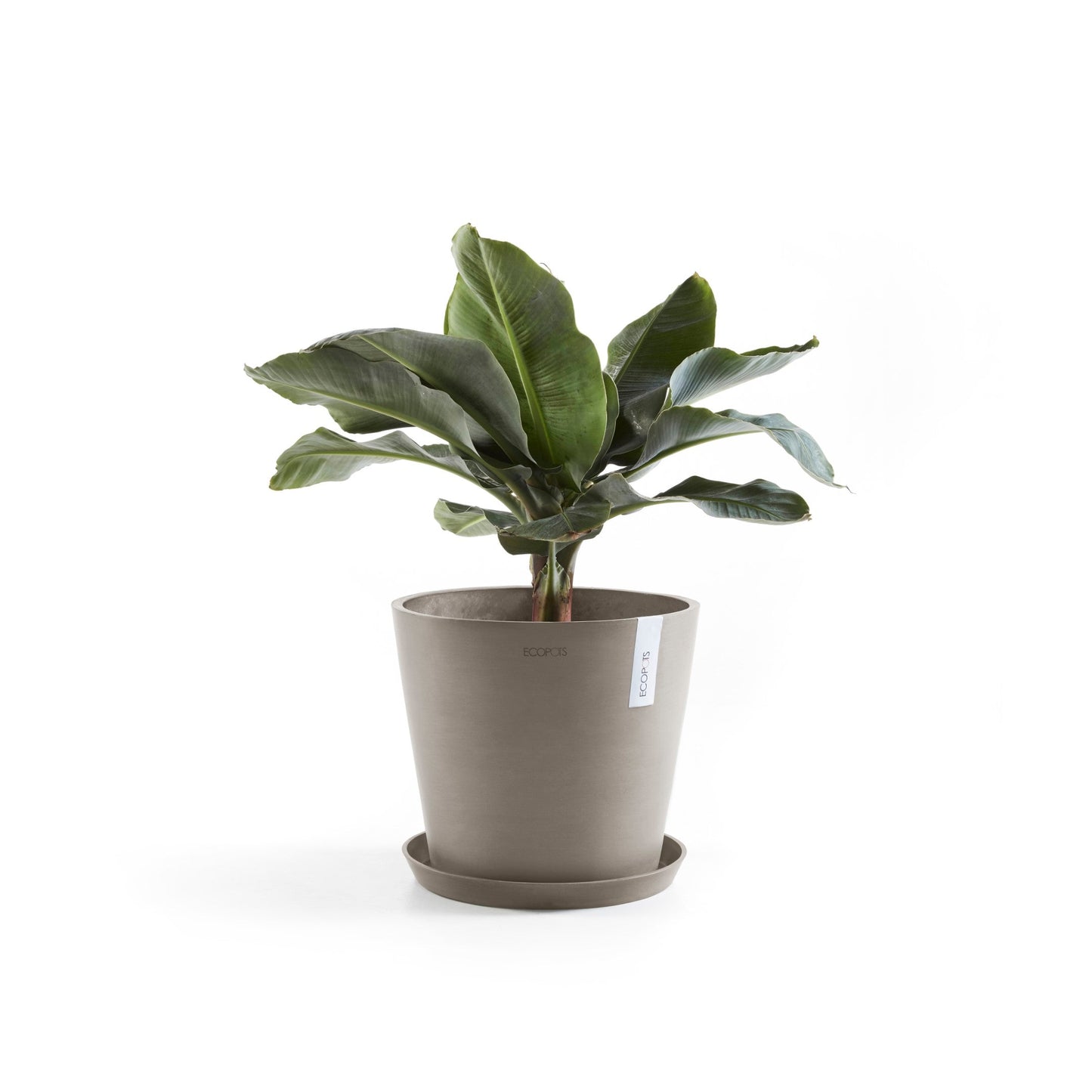 Kukkaruukku - Ecopots - Amsterdam 40cm taupe - Ecopotskauppa - Uuden aikakauden kukkaruukku