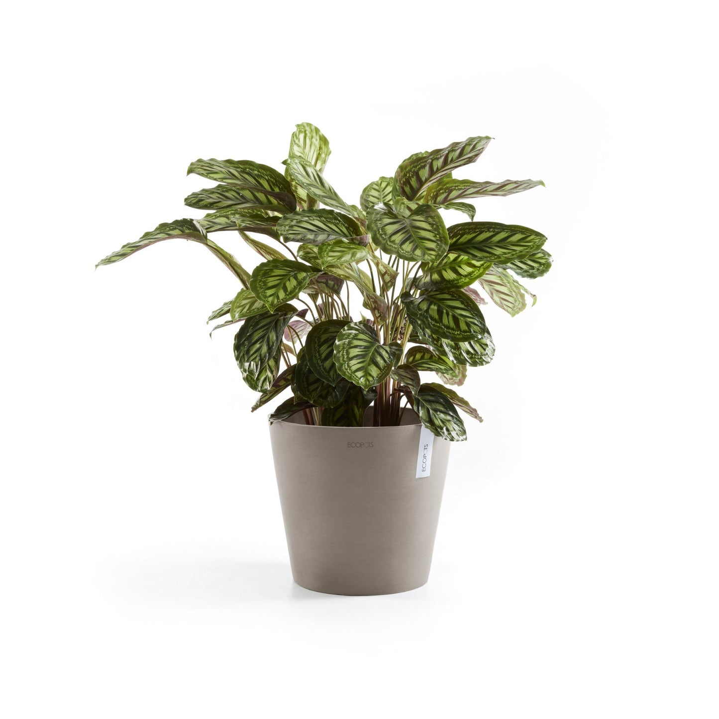 Kukkaruukku - Ecopots - Amsterdam 40cm taupe - Ecopotskauppa - Uuden aikakauden kukkaruukku
