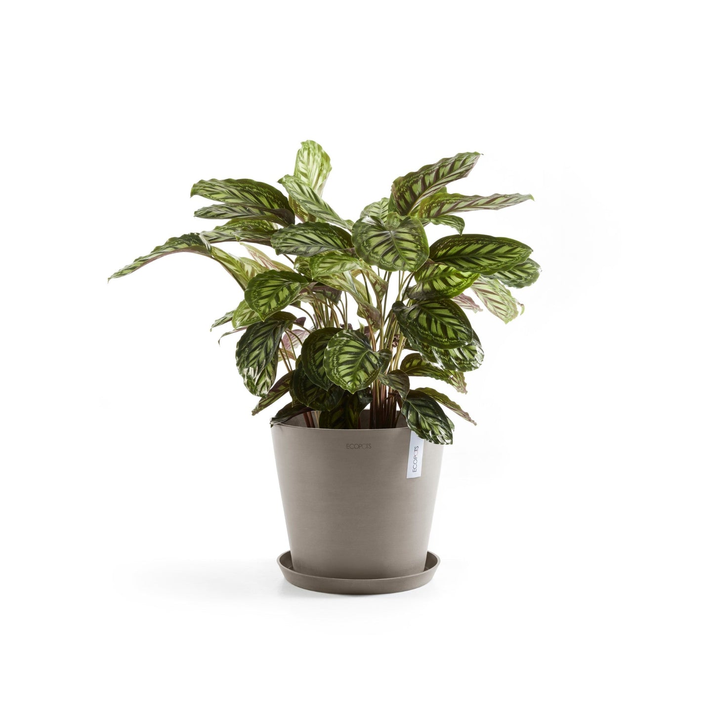 Kukkaruukku - Ecopots - Amsterdam 40cm taupe - Ecopotskauppa - Uuden aikakauden kukkaruukku