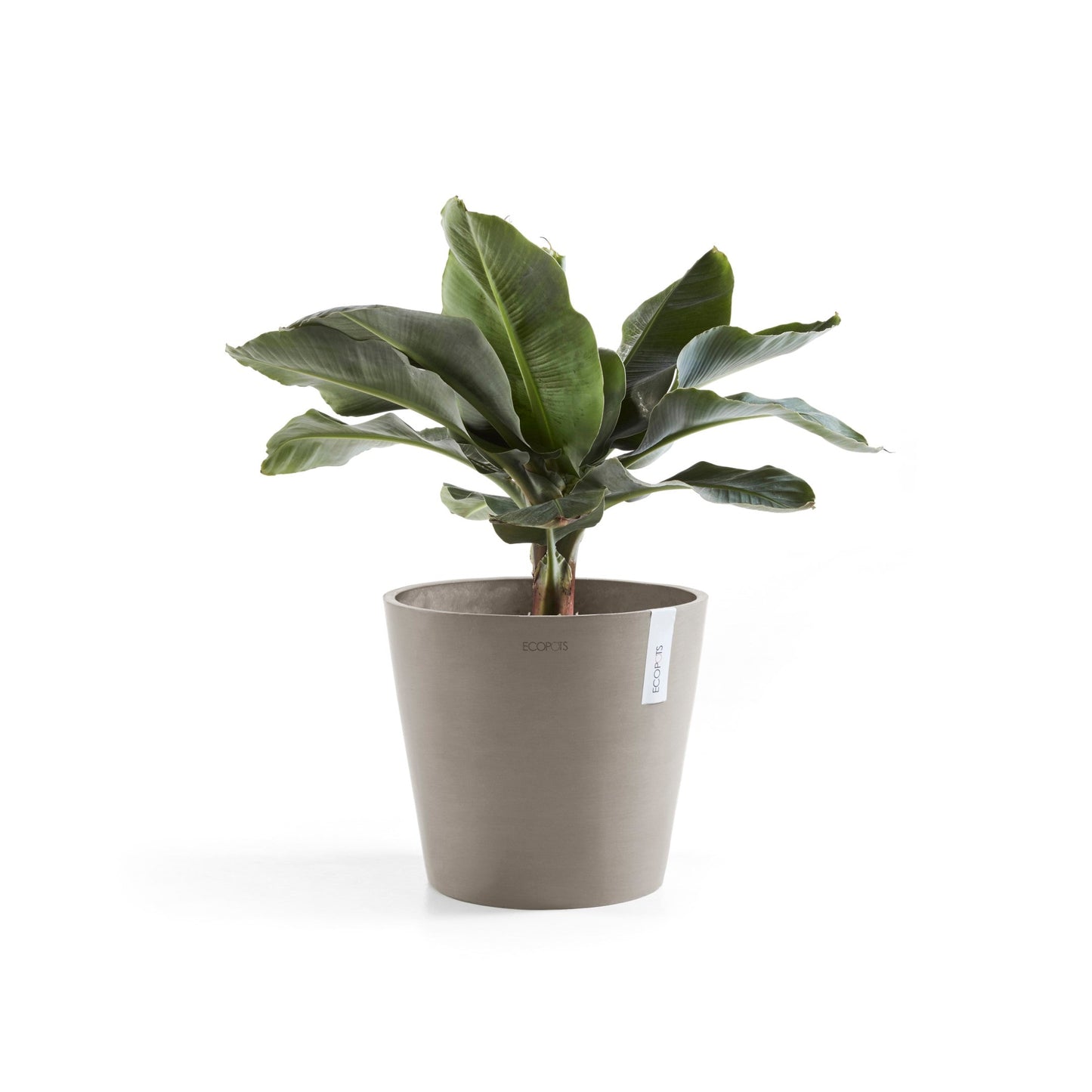 Kukkaruukku - Ecopots - Amsterdam 40cm taupe - Ecopotskauppa - Uuden aikakauden kukkaruukku
