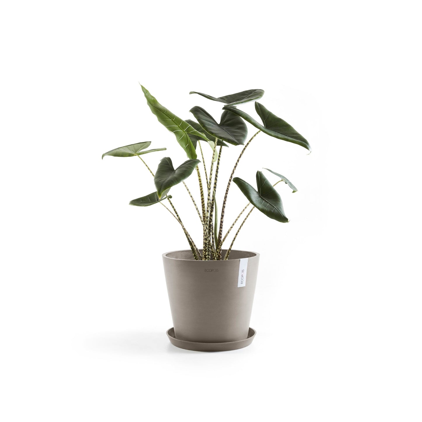 Kukkaruukku - Ecopots - Amsterdam 40cm taupe - Ecopotskauppa - Uuden aikakauden kukkaruukku