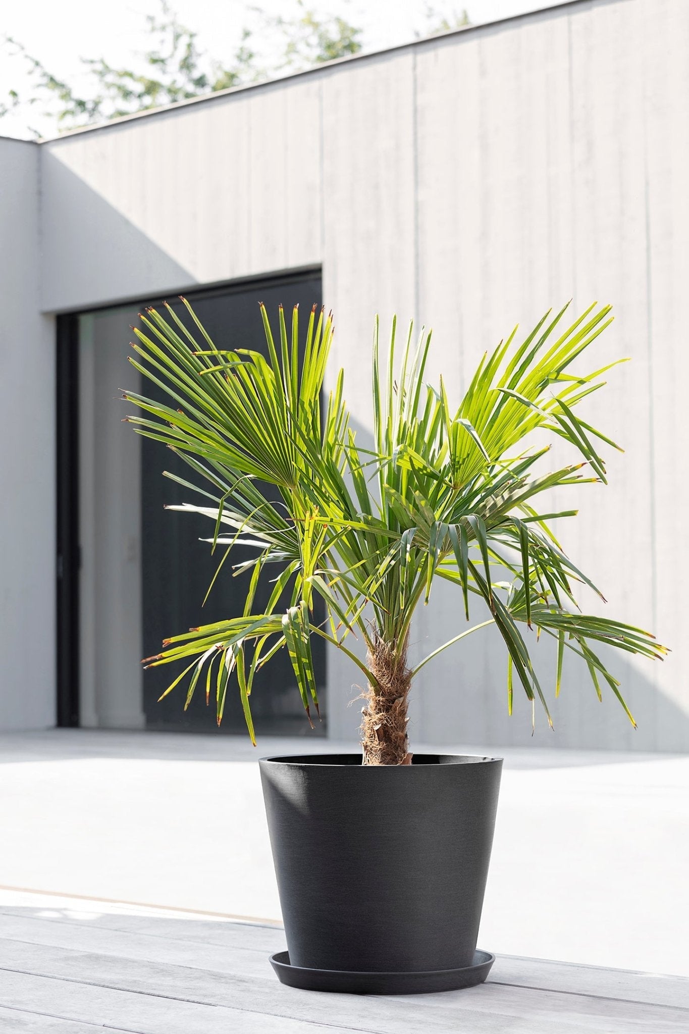 Kukkaruukku - Ecopots - Amsterdam 40cm tummanharmaa - Ecopots - Uuden aikakauden kukkaruukku kierrätysmateriaalista