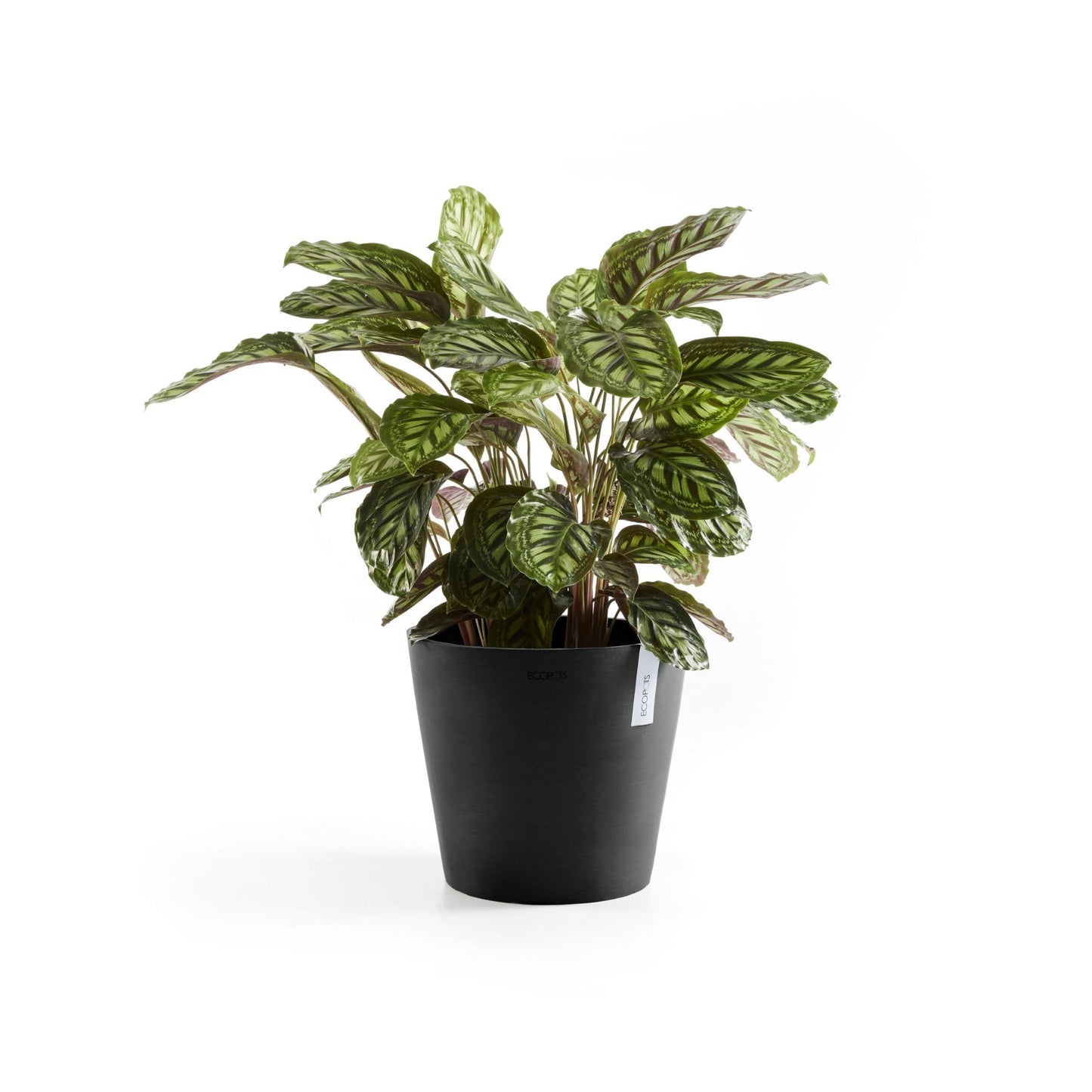 Kukkaruukku - Ecopots - Amsterdam 40cm tummanharmaa - Ecopotskauppa - Uuden aikakauden kukkaruukku