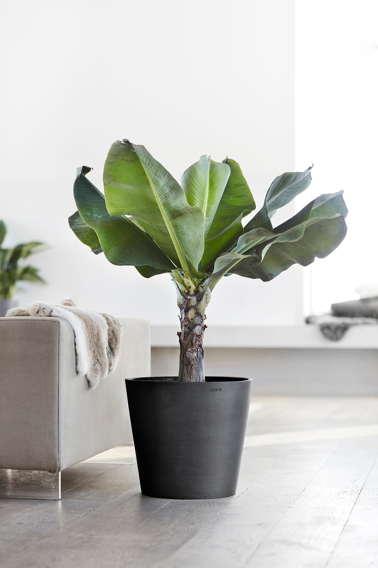 Kukkaruukku - Ecopots - Amsterdam 40cm tummanharmaa - Ecopotskauppa - Uuden aikakauden kukkaruukku
