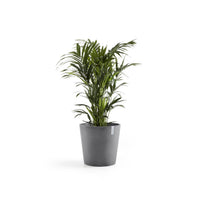 Lillepott Amsterdam 50cm hall