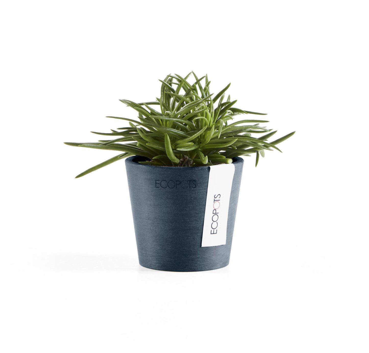 Kukkaruukku - Ecopots - Amsterdam 8cm tummansininen - Ecopotskauppa - Uuden aikakauden kukkaruukku