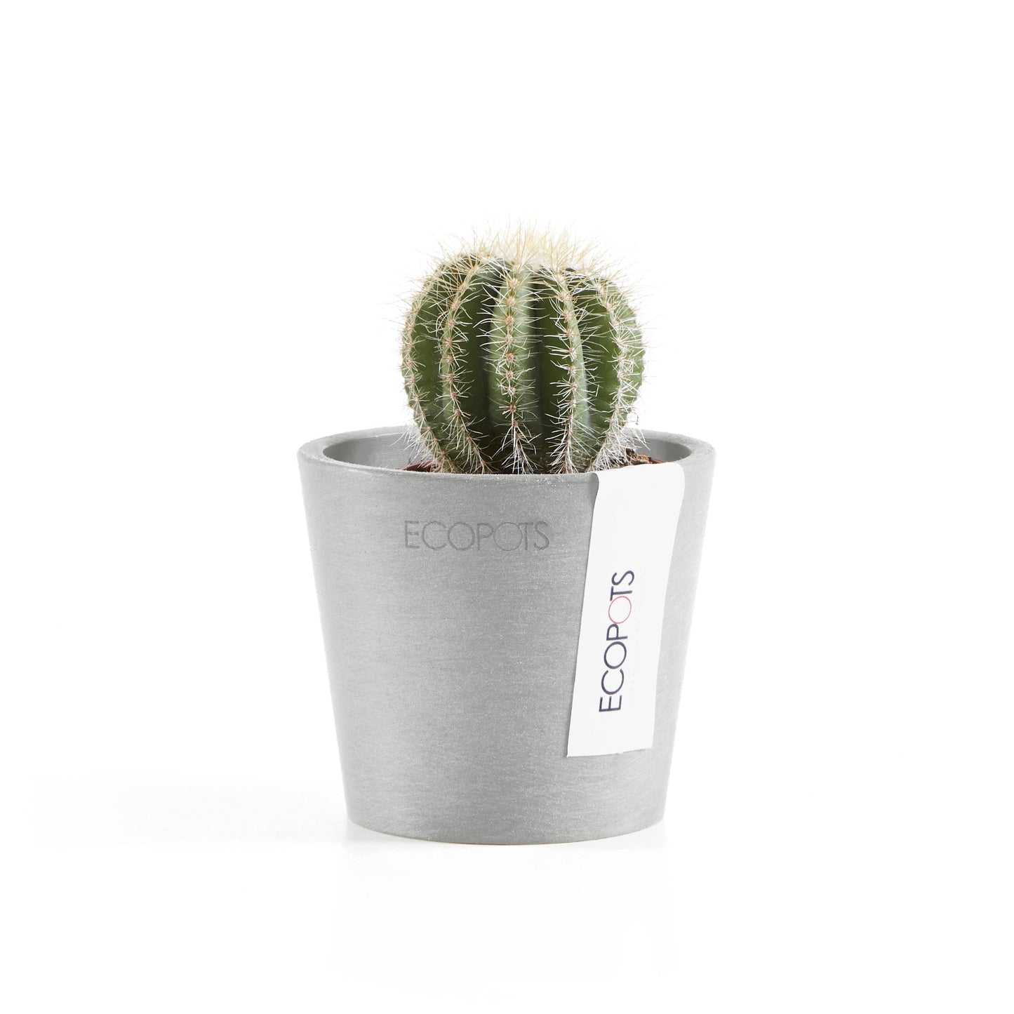 Kukkaruukku - Ecopots - Amsterdam 8cm valkoharmaa - Ecopotskauppa - Uuden aikakauden kukkaruukku