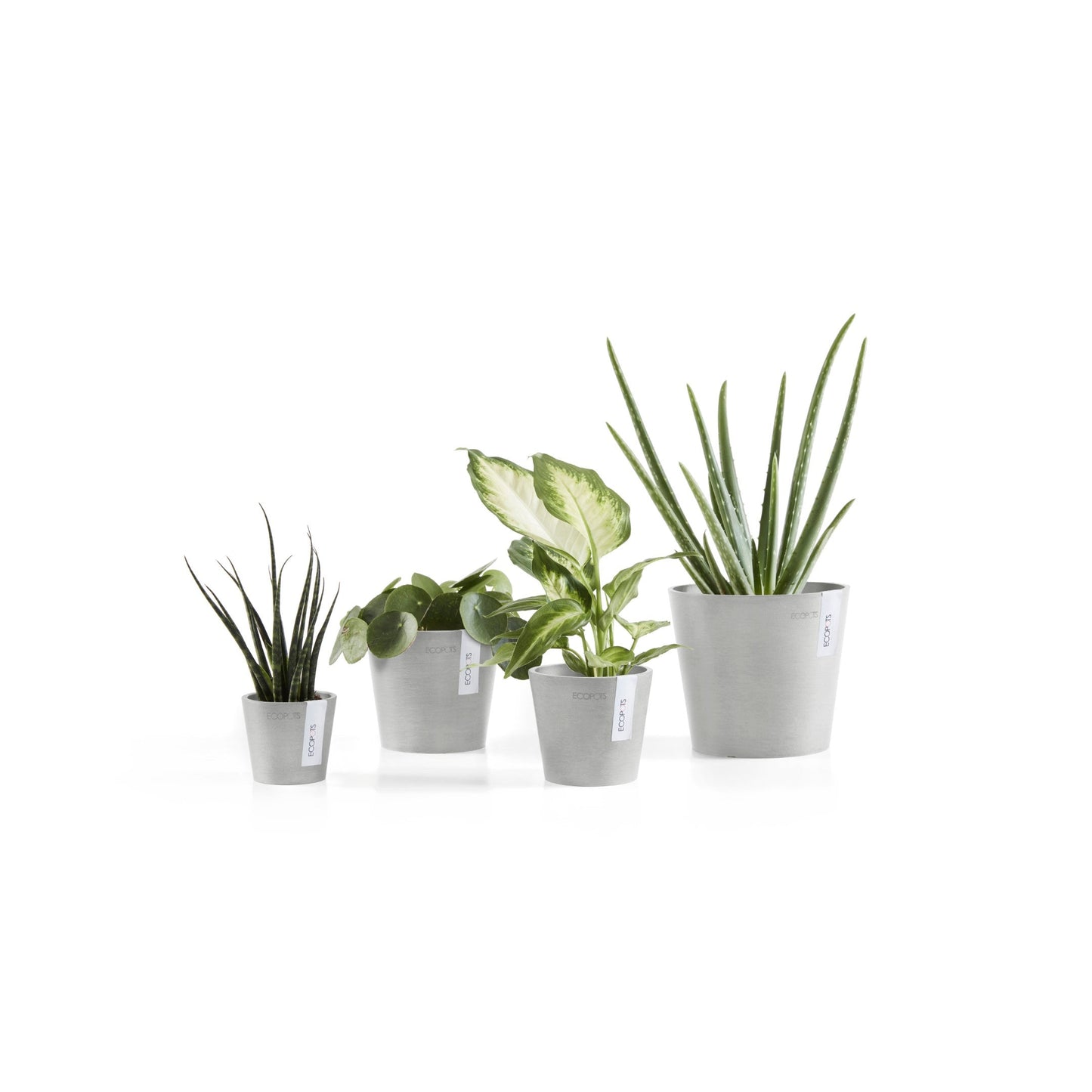 Kukkaruukku - Ecopots - Amsterdam 8cm valkoharmaa - Ecopotskauppa - Uuden aikakauden kukkaruukku
