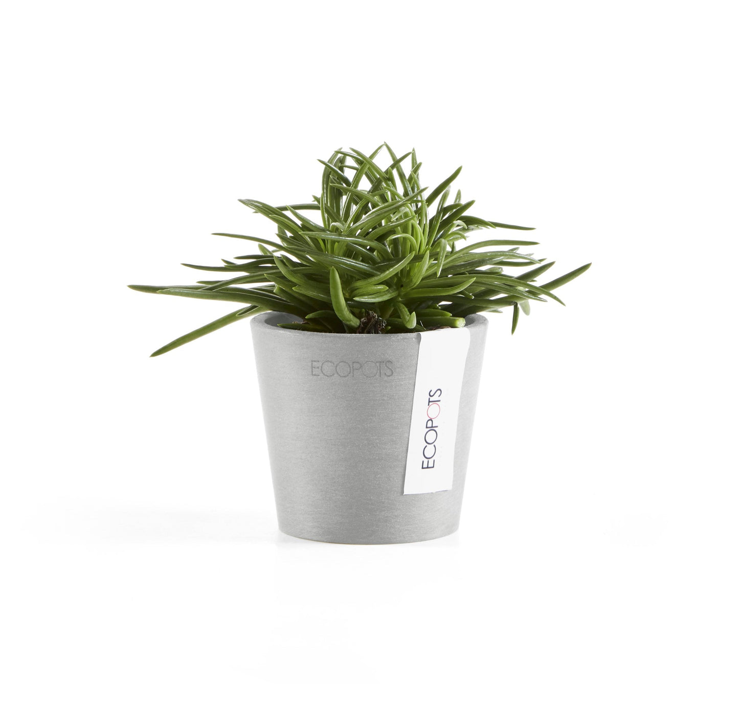 Kukkaruukku - Ecopots - Amsterdam 8cm valkoharmaa - Ecopotskauppa - Uuden aikakauden kukkaruukku