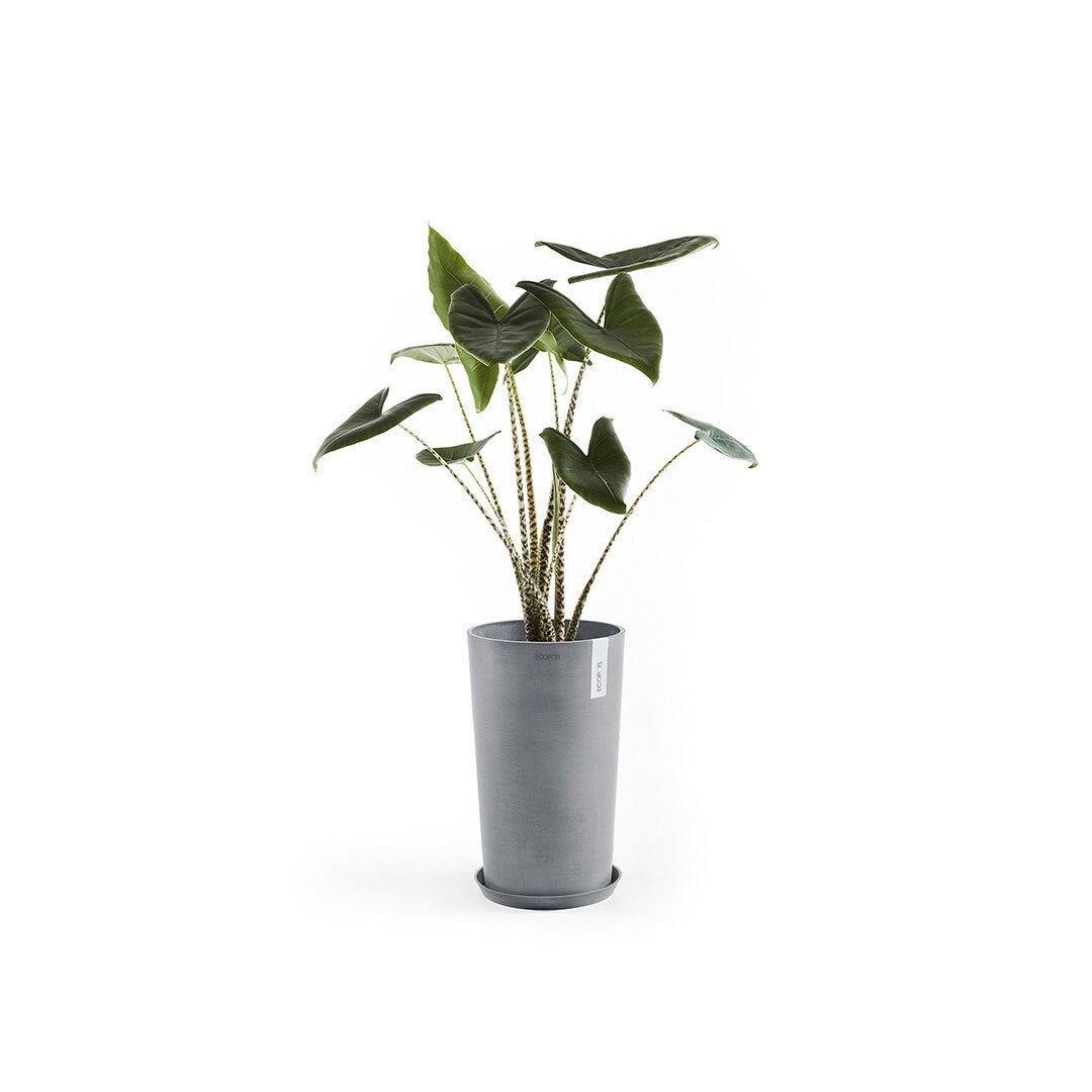Kukkaruukku - Ecopots - Amsterdam keskikorkea 50cm siniharmaa - Ecopotskauppa - Uuden aikakauden kukkaruukku