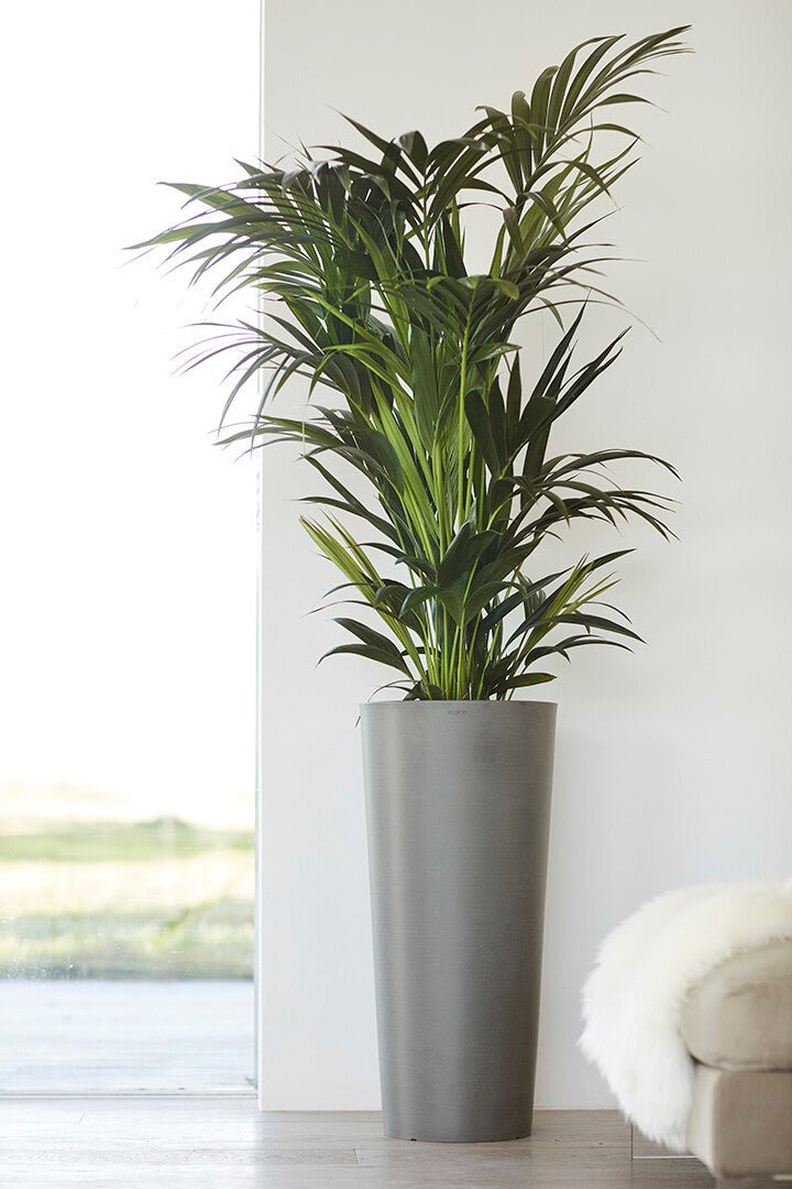 Kukkaruukku - Ecopots - Amsterdam korkea 70cm harmaa - Ecopotskauppa - Uuden aikakauden kukkaruukku