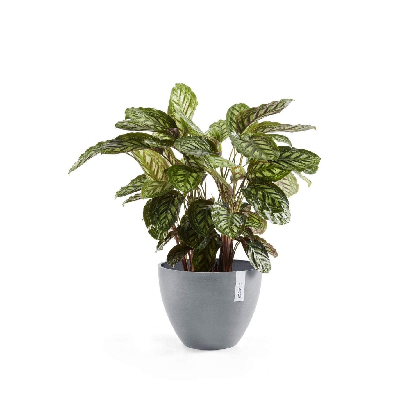 Kukkaruukku - Ecopots - Antwerpen 40cm siniharmaa - Ecopotskauppa - Uuden aikakauden kukkaruukku