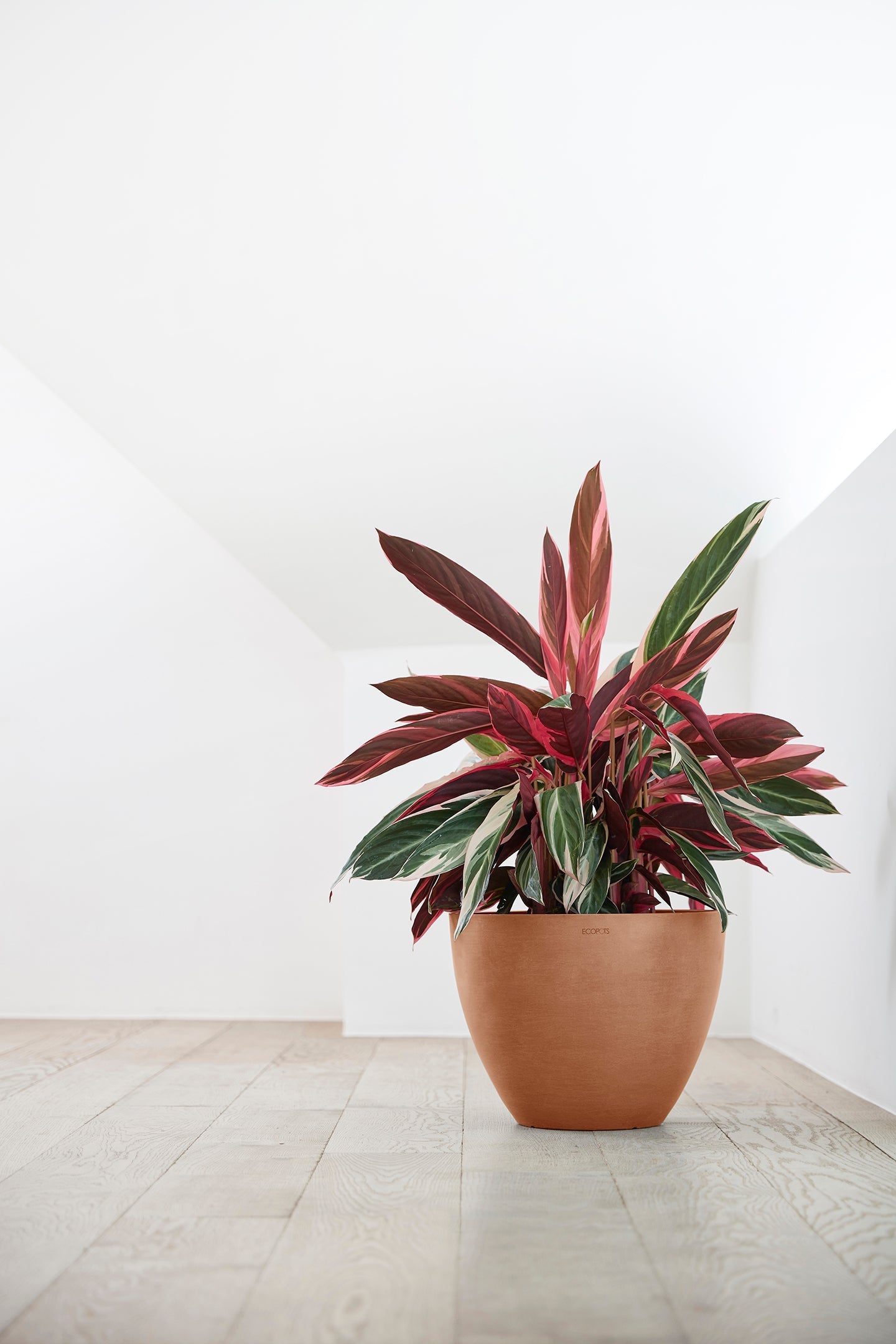 Kukkaruukku - Ecopots - Antwerpen 40cm terracotta - Ecopotskauppa - Uuden aikakauden kukkaruukku