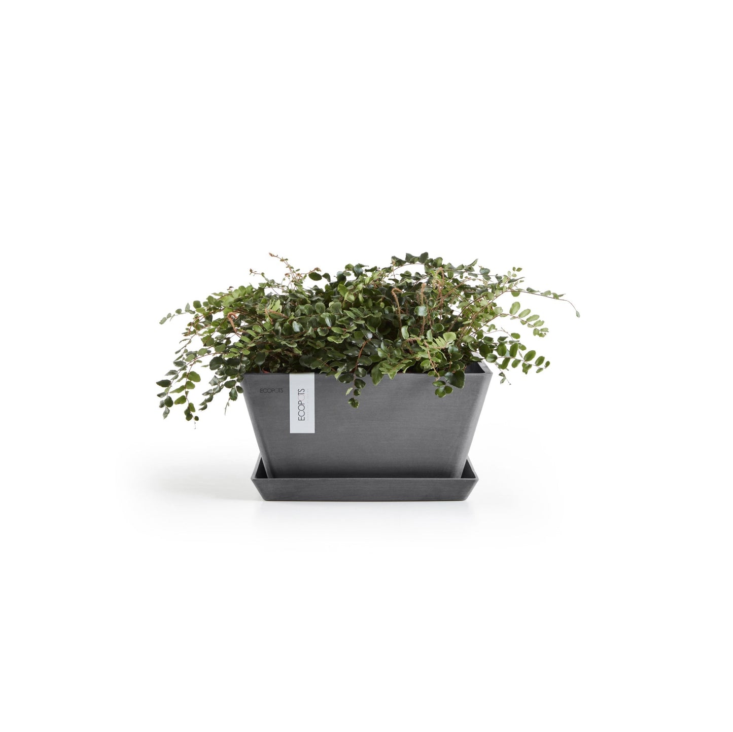 Kukkaruukku - Ecopots - Berliini 25cm harmaa - Ecopotskauppa - Uuden aikakauden kukkaruukku