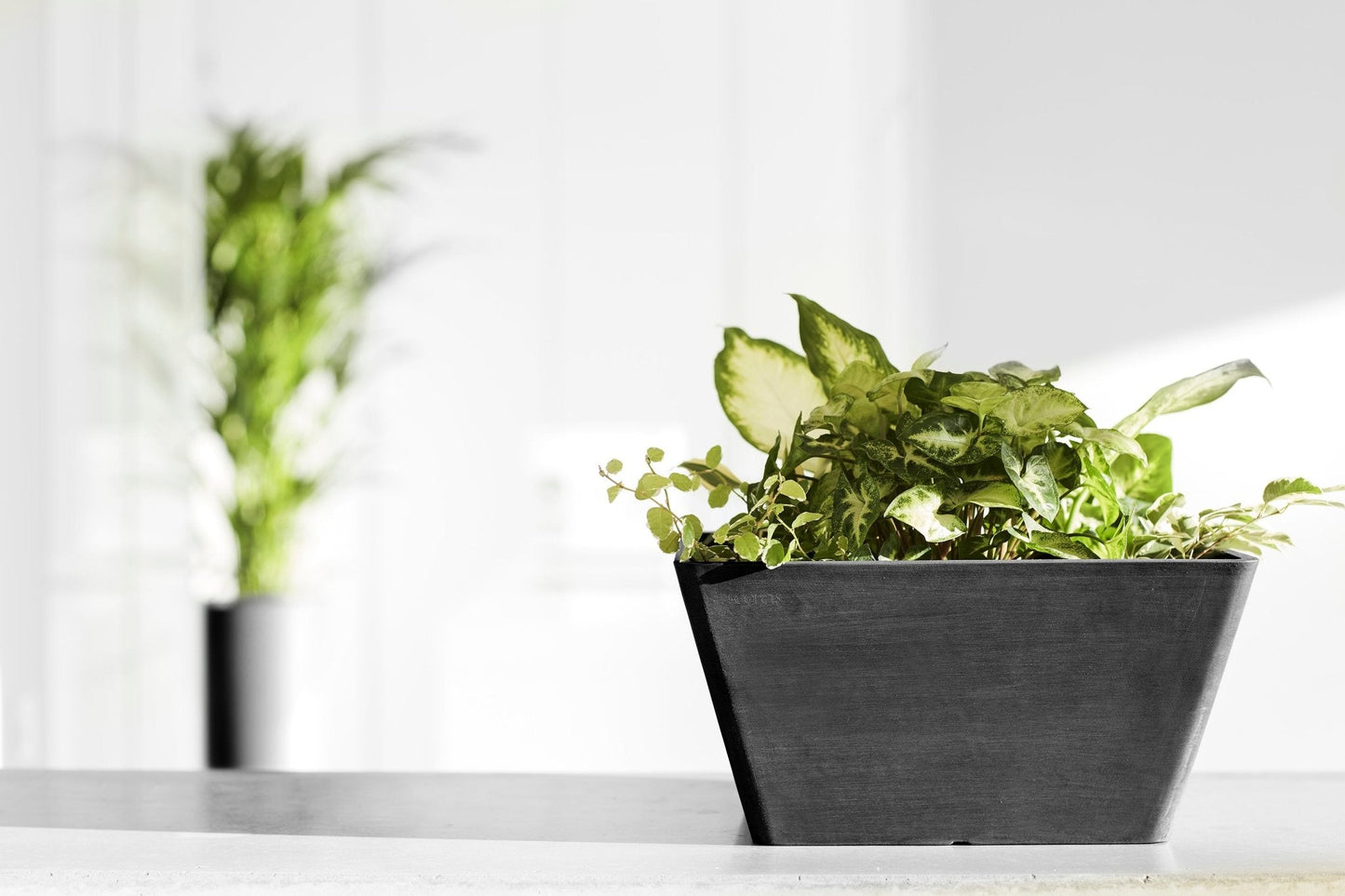 Kukkaruukku - Ecopots - Berliini 30cm tummanharmaa - Ecopots - Uuden aikakauden kukkaruukku kierrätysmateriaalista