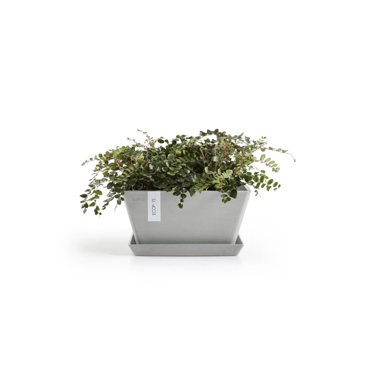 Kukkaruukku - Ecopots - Berliini 30cm valkoharmaa - Ecopotskauppa - Uuden aikakauden kukkaruukku