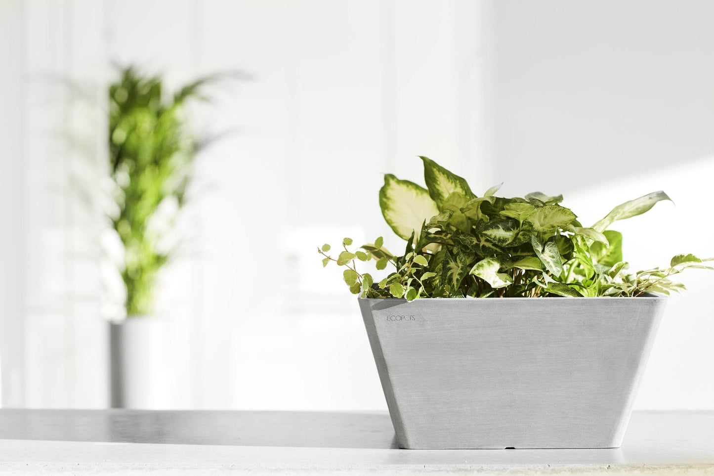 Kukkaruukku - Ecopots - Berliini 30cm valkoharmaa - Ecopots - Uuden aikakauden kukkaruukku kierrätysmateriaalista