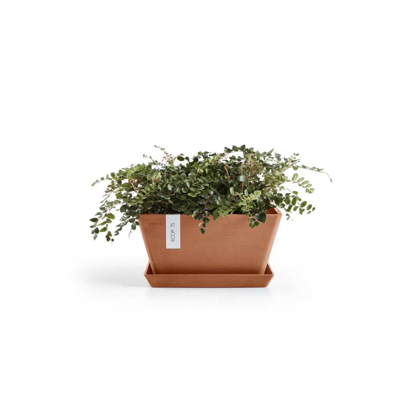 Kukkaruukku - Ecopots - Berliini 40cm terracotta - Ecopotskauppa - Uuden aikakauden kukkaruukku