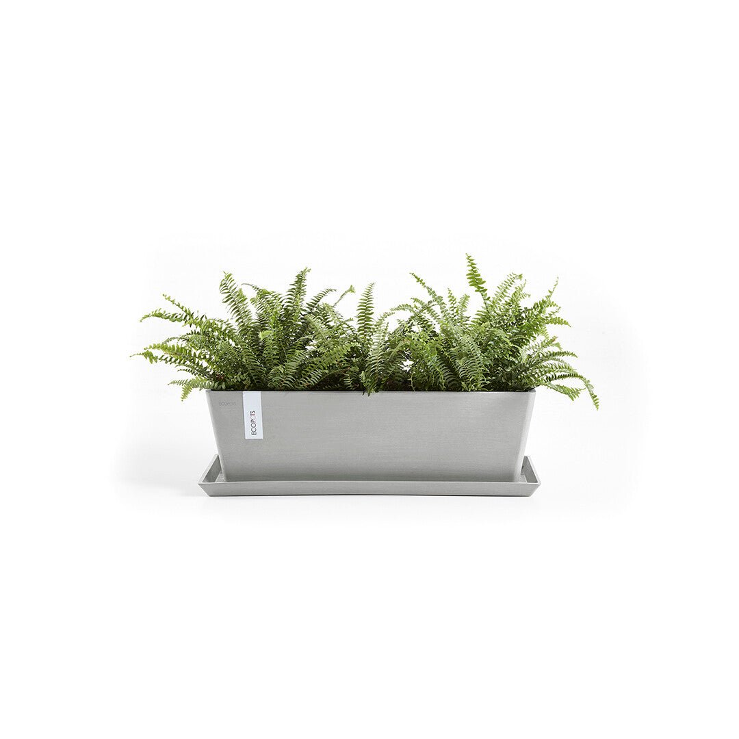 Kukkaruukku - Ecopots - Bruge aluslautanen 65cm valkoharmaa - Ecopotskauppa - Uuden aikakauden kukkaruukku