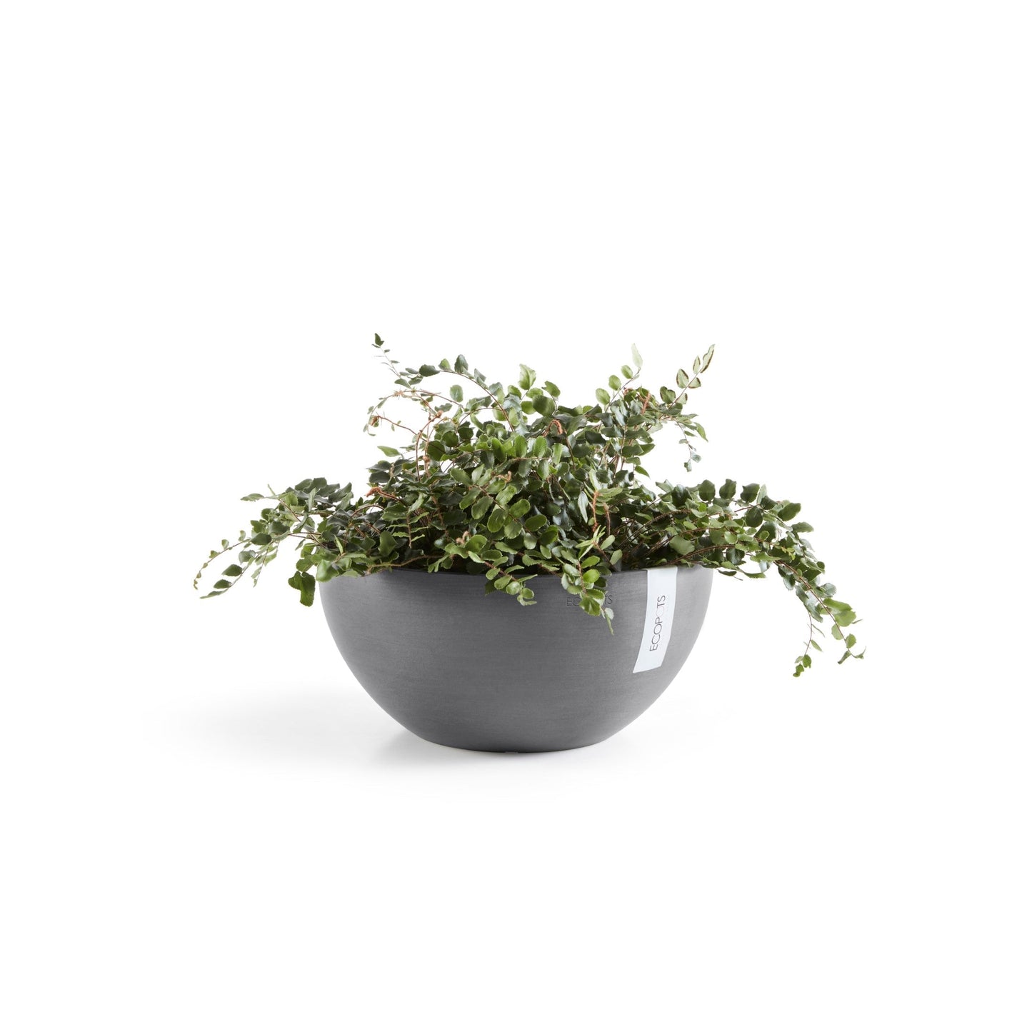 Kukkaruukku - Ecopots - Brysseli 30cm harmaa - Ecopotskauppa - Uuden aikakauden kukkaruukku