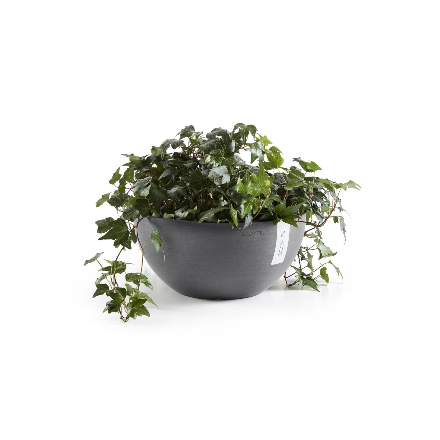 Kukkaruukku - Ecopots - Brysseli 30cm harmaa - Ecopotskauppa - Uuden aikakauden kukkaruukku