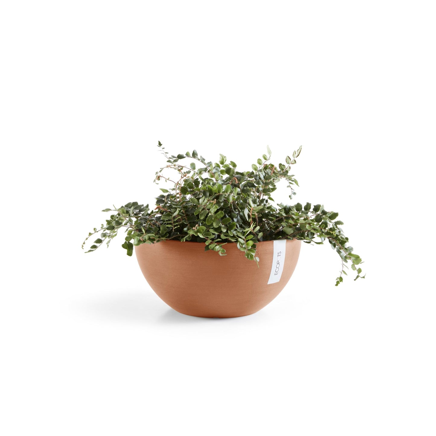 Kukkaruukku - Ecopots - Brysseli 35cm terracotta - Ecopotskauppa - Uuden aikakauden kukkaruukku