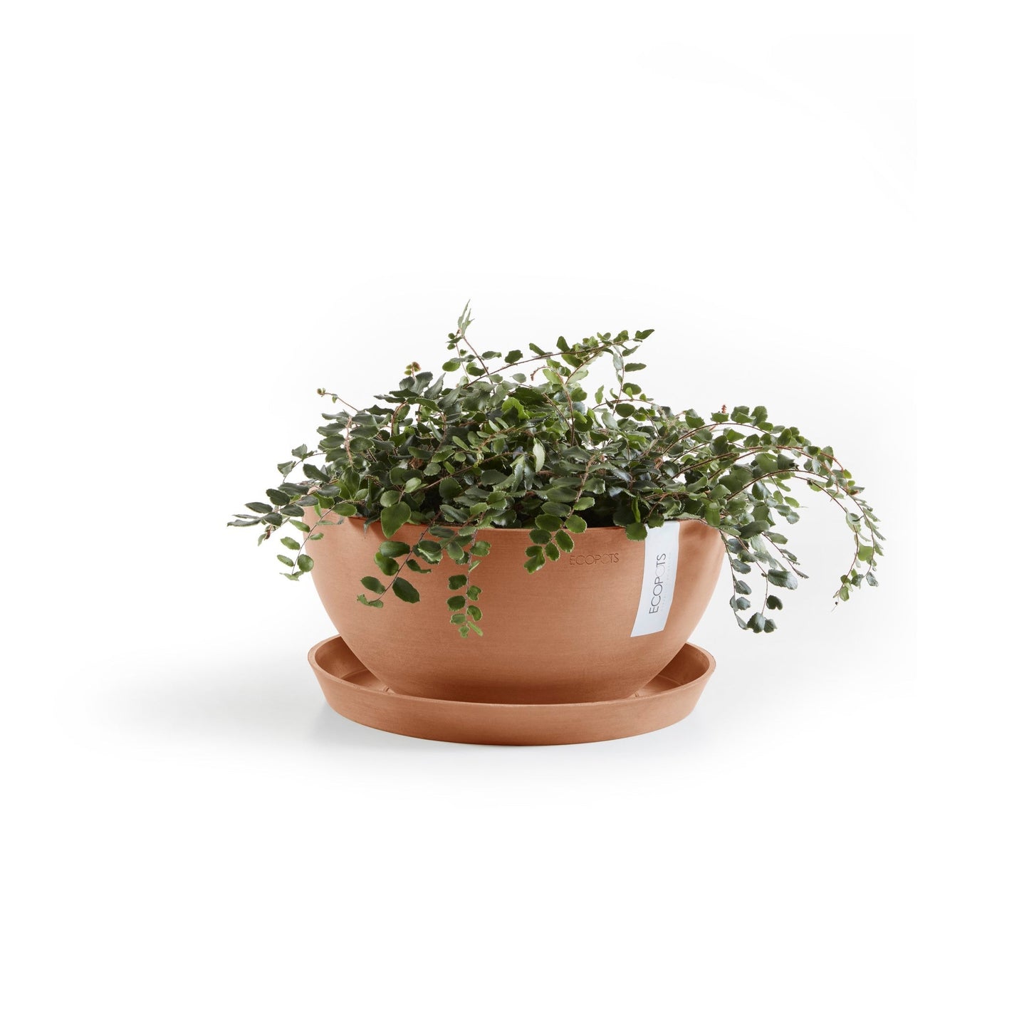 Kukkaruukku - Ecopots - Brysseli 35cm terracotta - Ecopotskauppa - Uuden aikakauden kukkaruukku