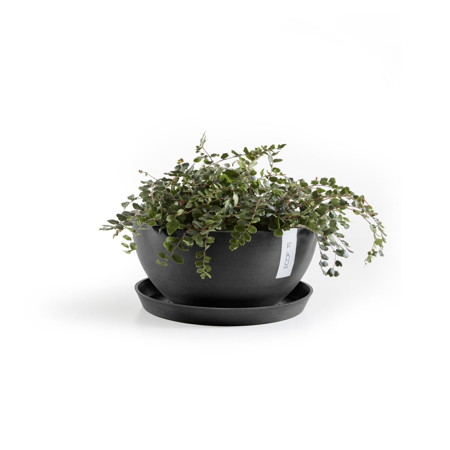 Kukkaruukku - Ecopots - Brysseli 35cm tummanharmaa - Ecopotskauppa - Uuden aikakauden kukkaruukku