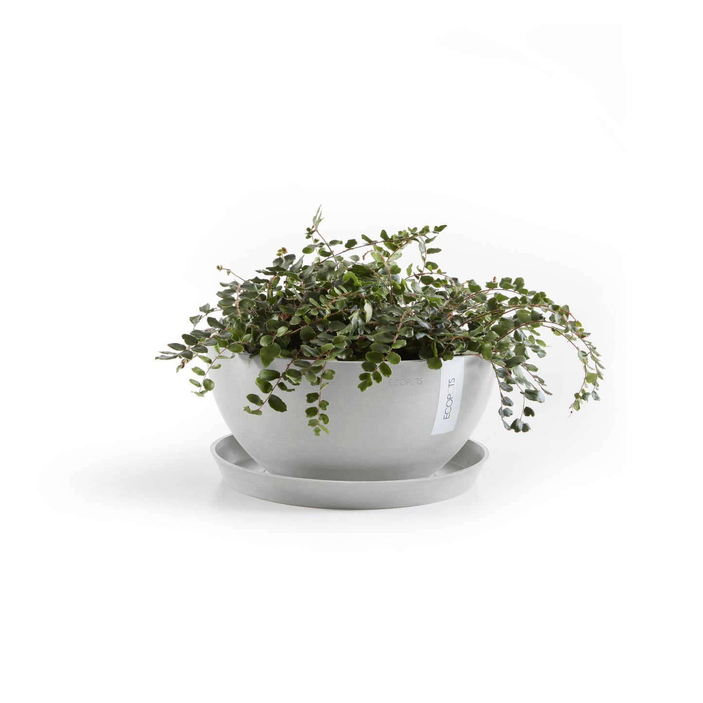 Kukkaruukku - Ecopots - Brysseli 35cm valkoharmaa - Ecopotskauppa - Uuden aikakauden kukkaruukku