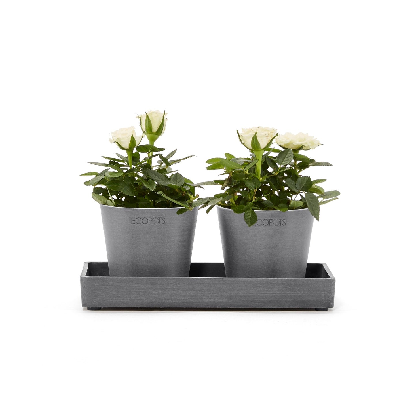 Kukkaruukku - Ecopots - Esillepanotarjotin 20cm harmaa - Ecopotskauppa - Uuden aikakauden kukkaruukku