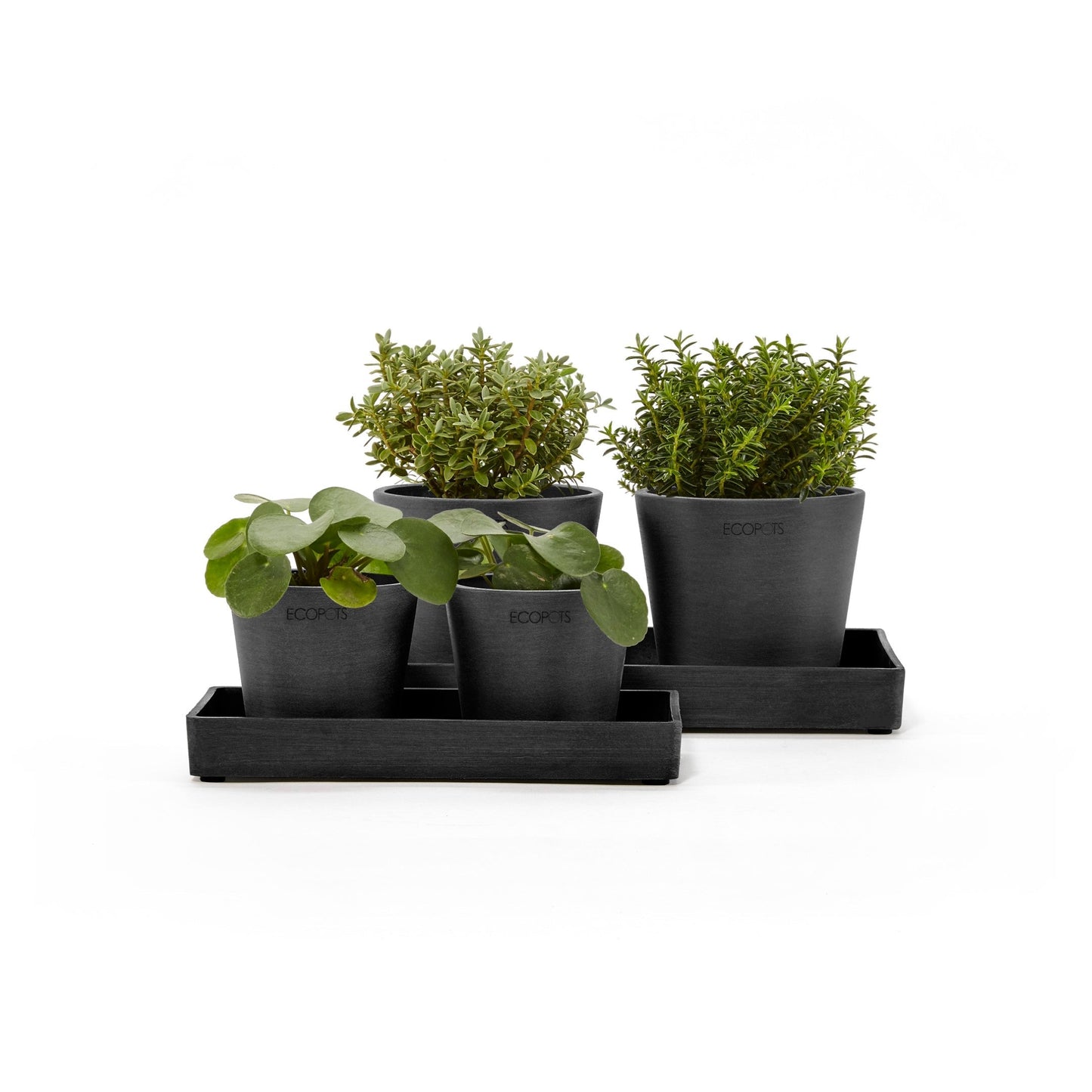 Kukkaruukku - Ecopots - Esillepanotarjotin 25cm tummanharmaa - Ecopotskauppa - Uuden aikakauden kukkaruukku