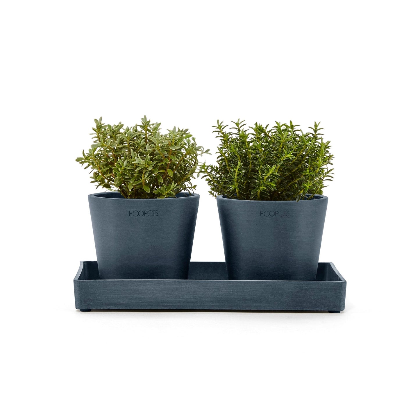 Kukkaruukku - Ecopots - Esillepanotarjotin 25cm tummansininen - Ecopotskauppa - Uuden aikakauden kukkaruukku