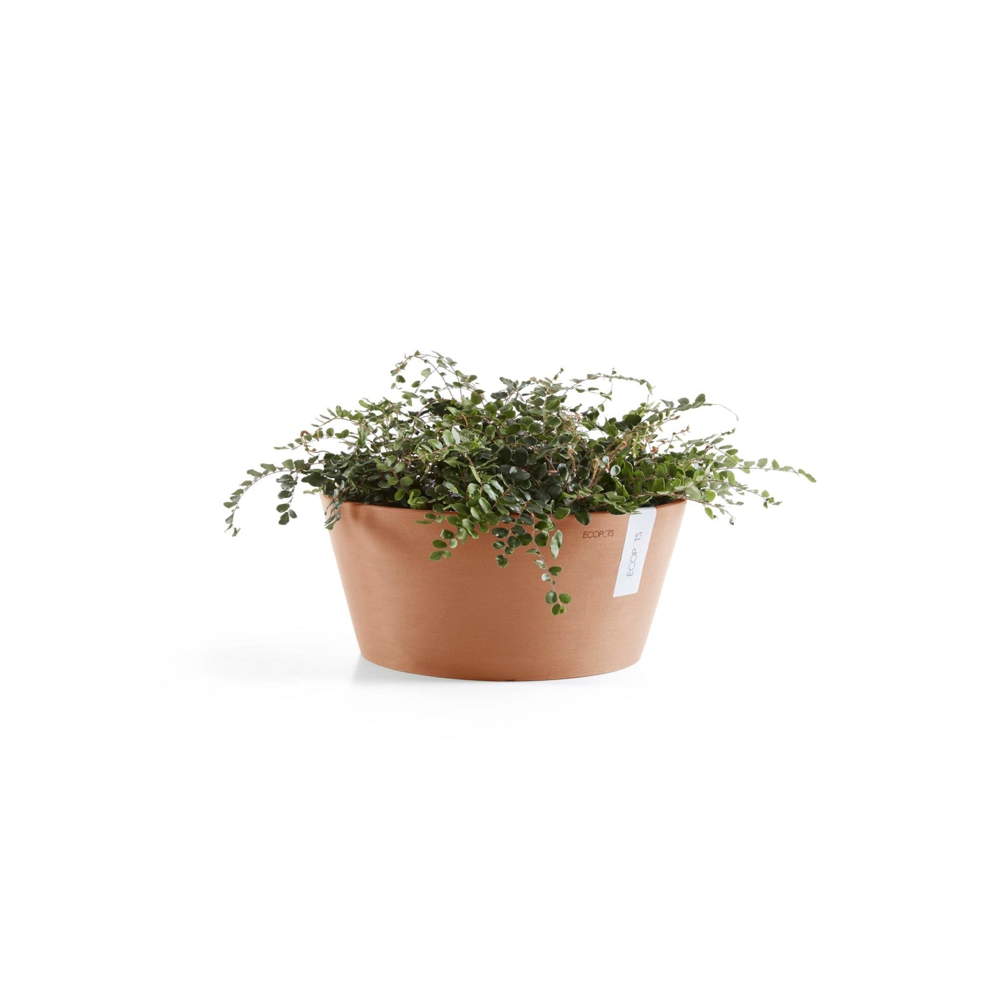 Kukkaruukku - Ecopots - Frankfurt 40cm terracotta - Ecopotskauppa - Uuden aikakauden kukkaruukku
