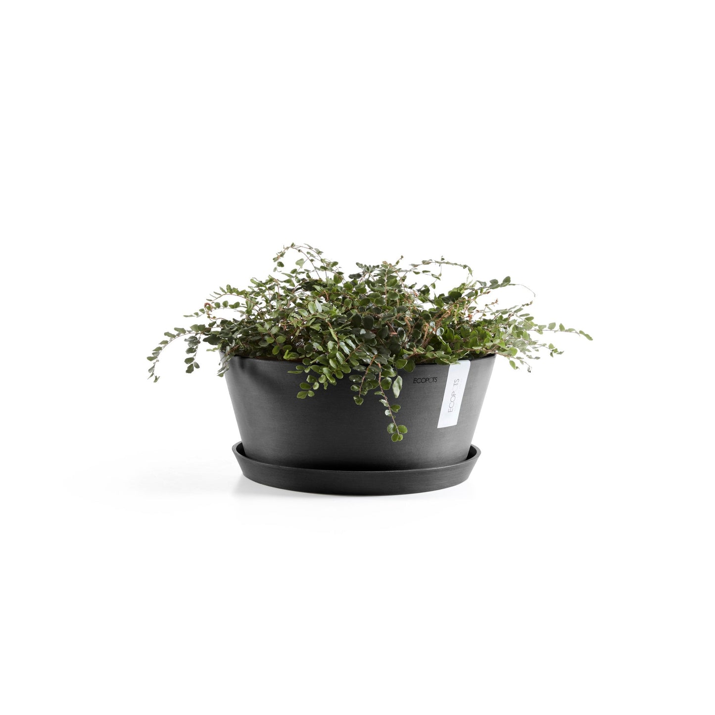 Kukkaruukku - Ecopots - Frankfurt 40cm tummanharmaa - Ecopotskauppa - Uuden aikakauden kukkaruukku