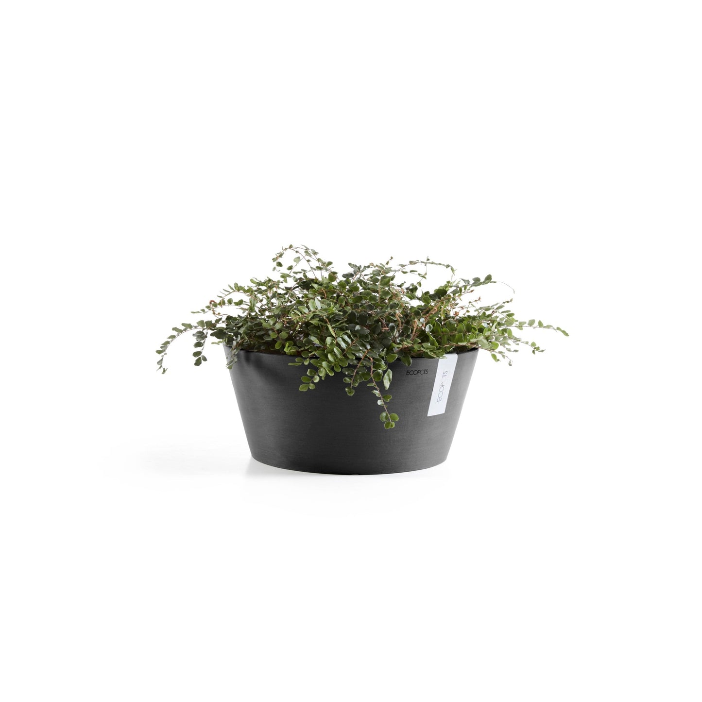 Kukkaruukku - Ecopots - Frankfurt 40cm tummanharmaa - Ecopotskauppa - Uuden aikakauden kukkaruukku