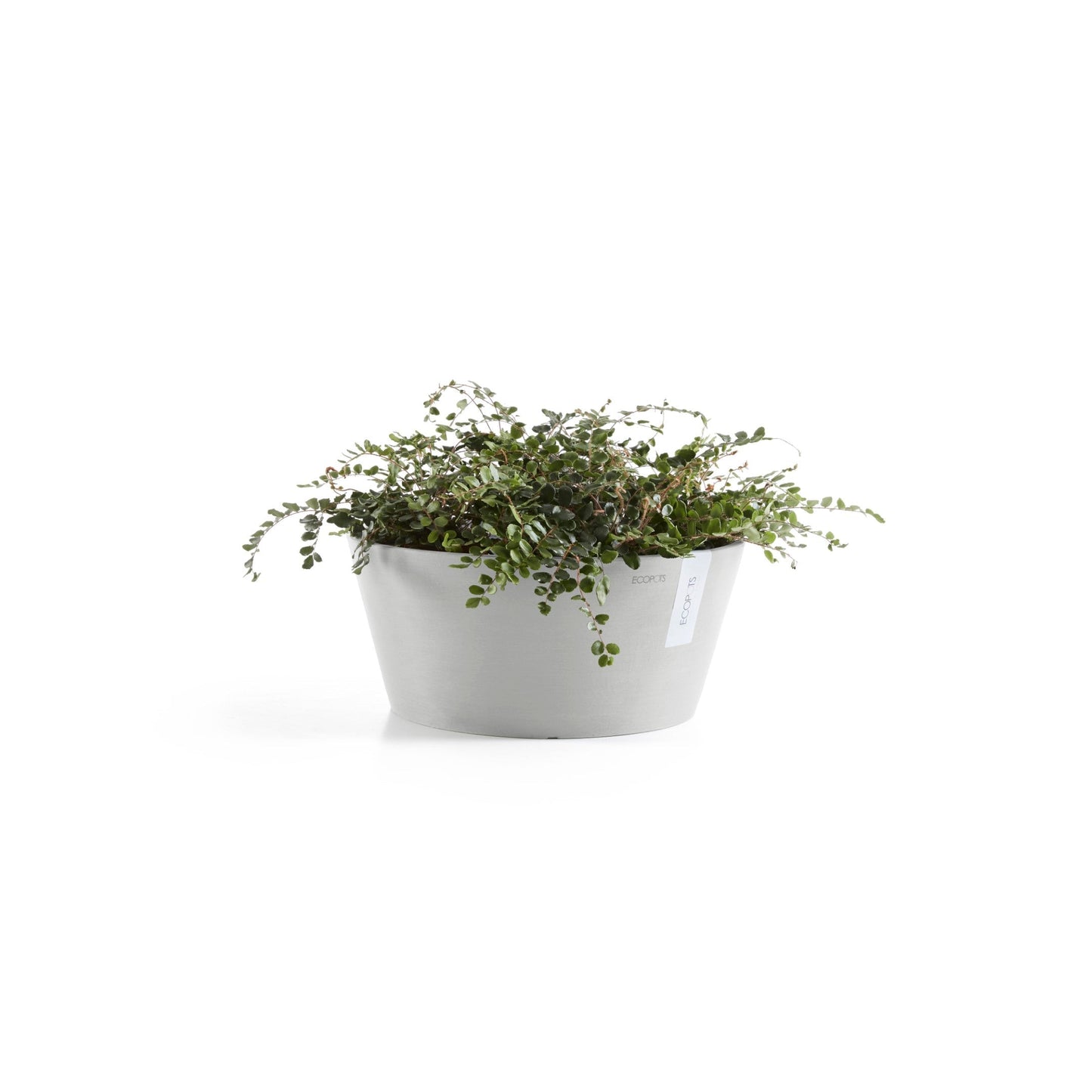 Kukkaruukku - Ecopots - Frankfurt 50cm valkoharmaa - Ecopotskauppa - Uuden aikakauden kukkaruukku