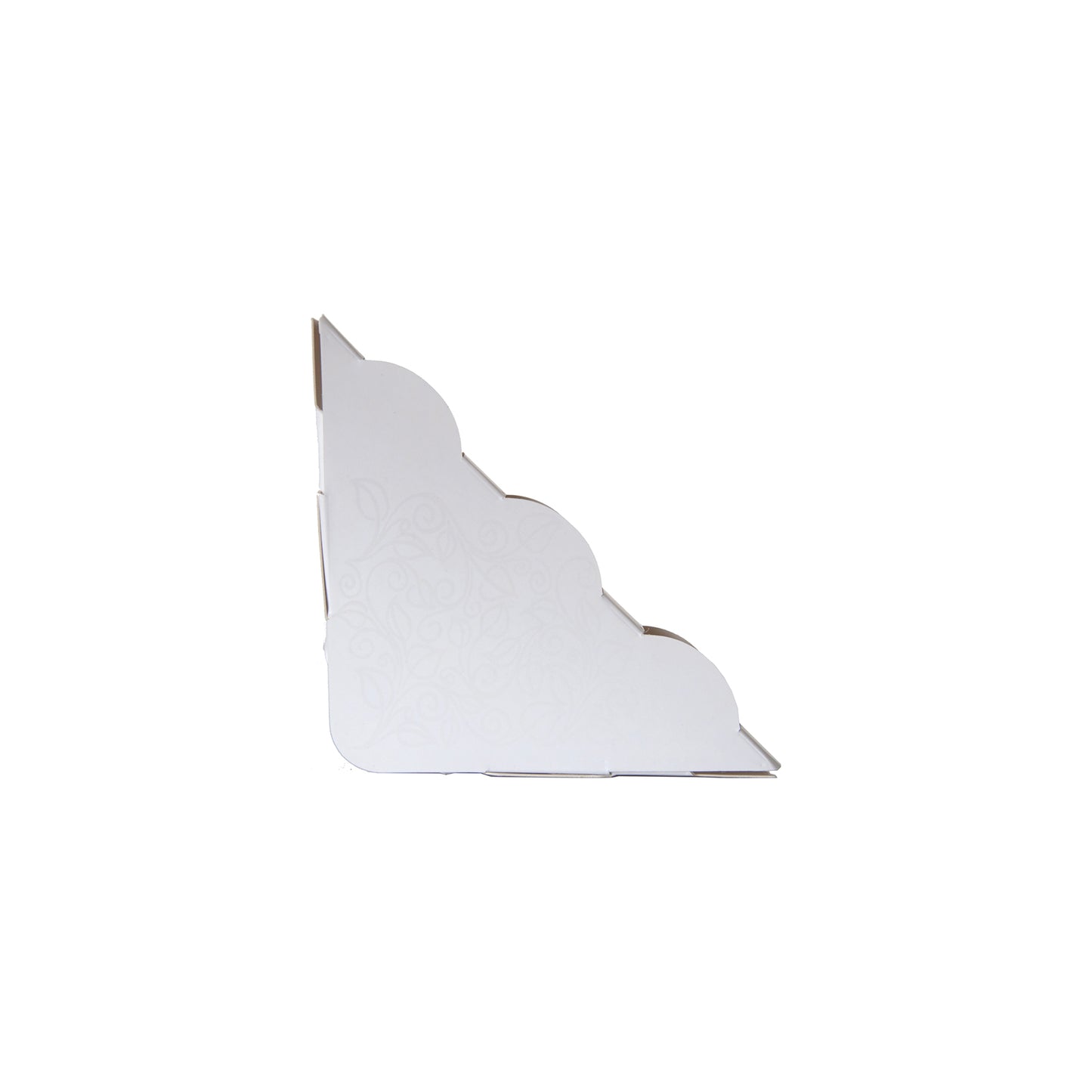 Kärpäsloukku ikkuna 2-pack