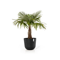 Kukkaruukku Oslo 75cm tummanharmaa