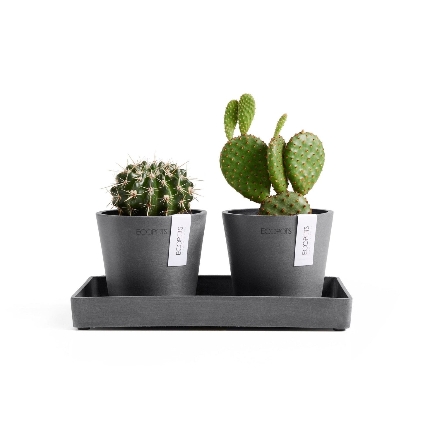 Kukkaruukku - Ecopots - Kukkaruukku Amsterdam 10,5cm 2kpl & esillepanotarjotin 25cm harmaa - Ecopots - Uuden aikakauden kukkaruukku kierrätysmateriaalista