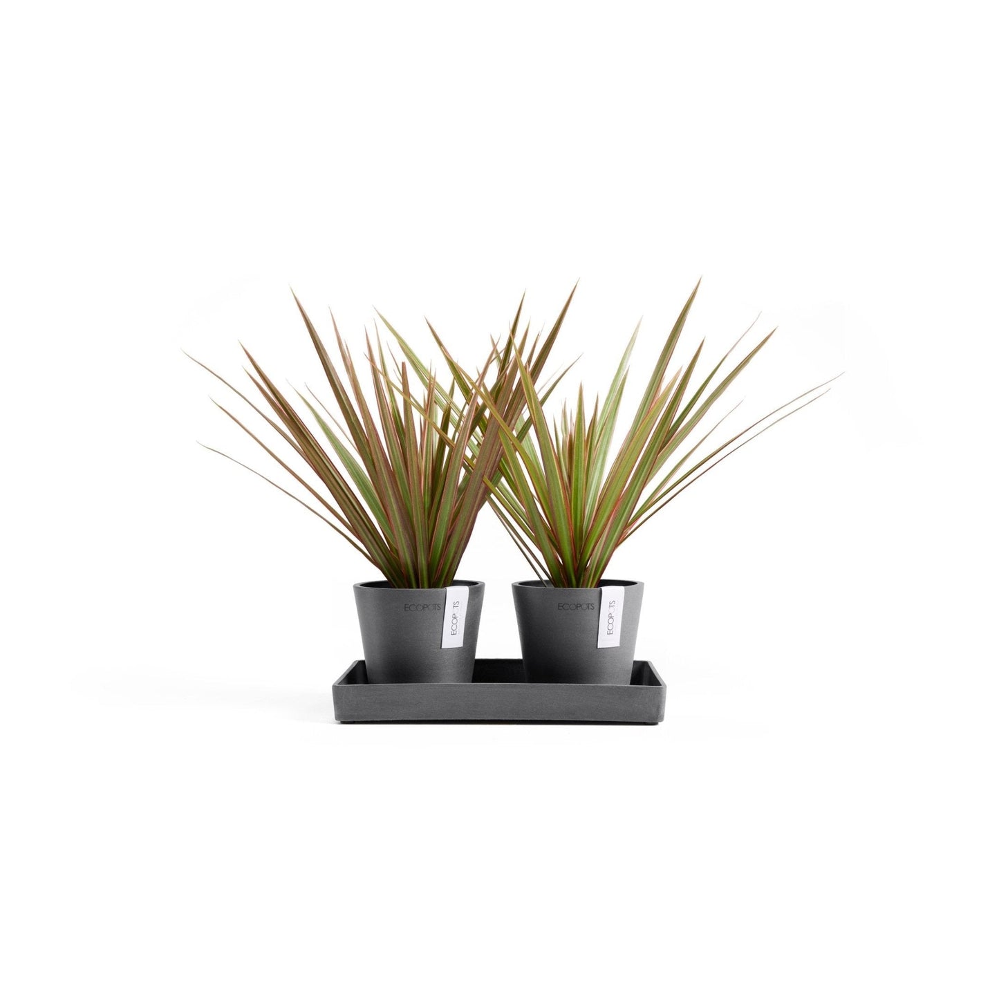 Kukkaruukku - Ecopots - Kukkaruukku Amsterdam 10,5cm 2kpl & esillepanotarjotin 25cm harmaa - Ecopots - Uuden aikakauden kukkaruukku kierrätysmateriaalista