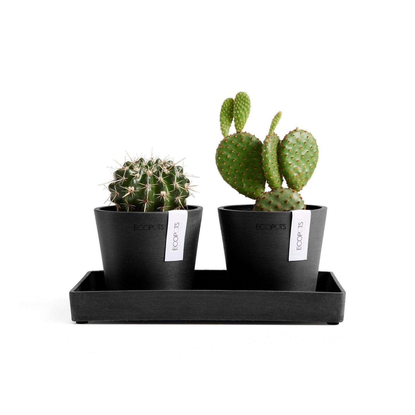 Kukkaruukku - Ecopots - Kukkaruukku Amsterdam 10,5cm 2kpl & esillepanotarjotin 25cm tummanharmaa - Ecopots - Uuden aikakauden kukkaruukku kierrätysmateriaalista