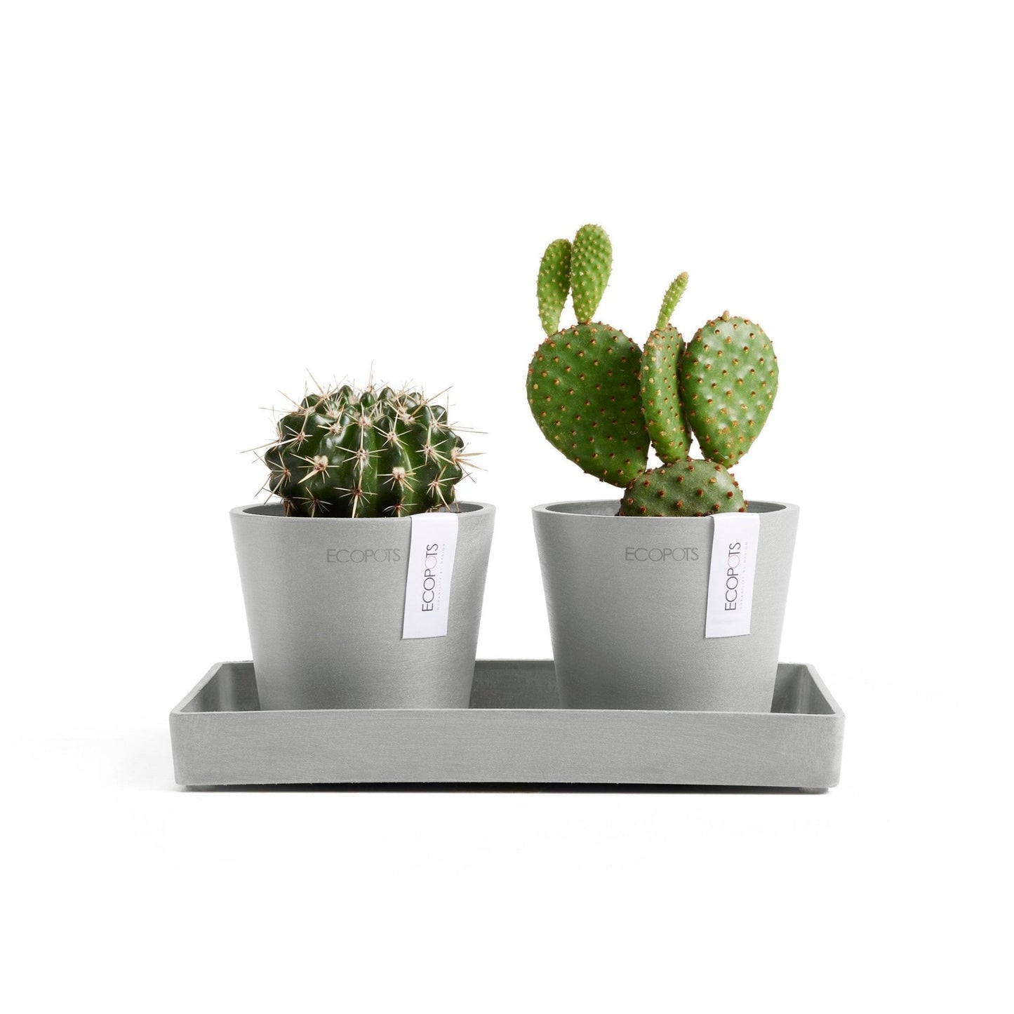 Kukkaruukku - Ecopots - Kukkaruukku Amsterdam 10,5cm 2kpl & esillepanotarjotin 25cm valkoharmaa - Ecopots - Uuden aikakauden kukkaruukku kierrätysmateriaalista