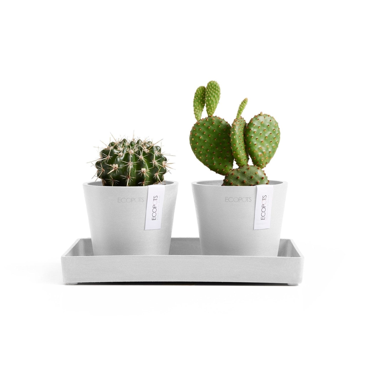 Kukkaruukku - Ecopots - Kukkaruukku Amsterdam 10,5cm 2kpl & esillepanotarjotin 25cm valkoinen - Ecopots - Uuden aikakauden kukkaruukku kierrätysmateriaalista