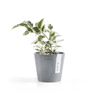 Lillepott Amsterdam 10,5cm sinihall