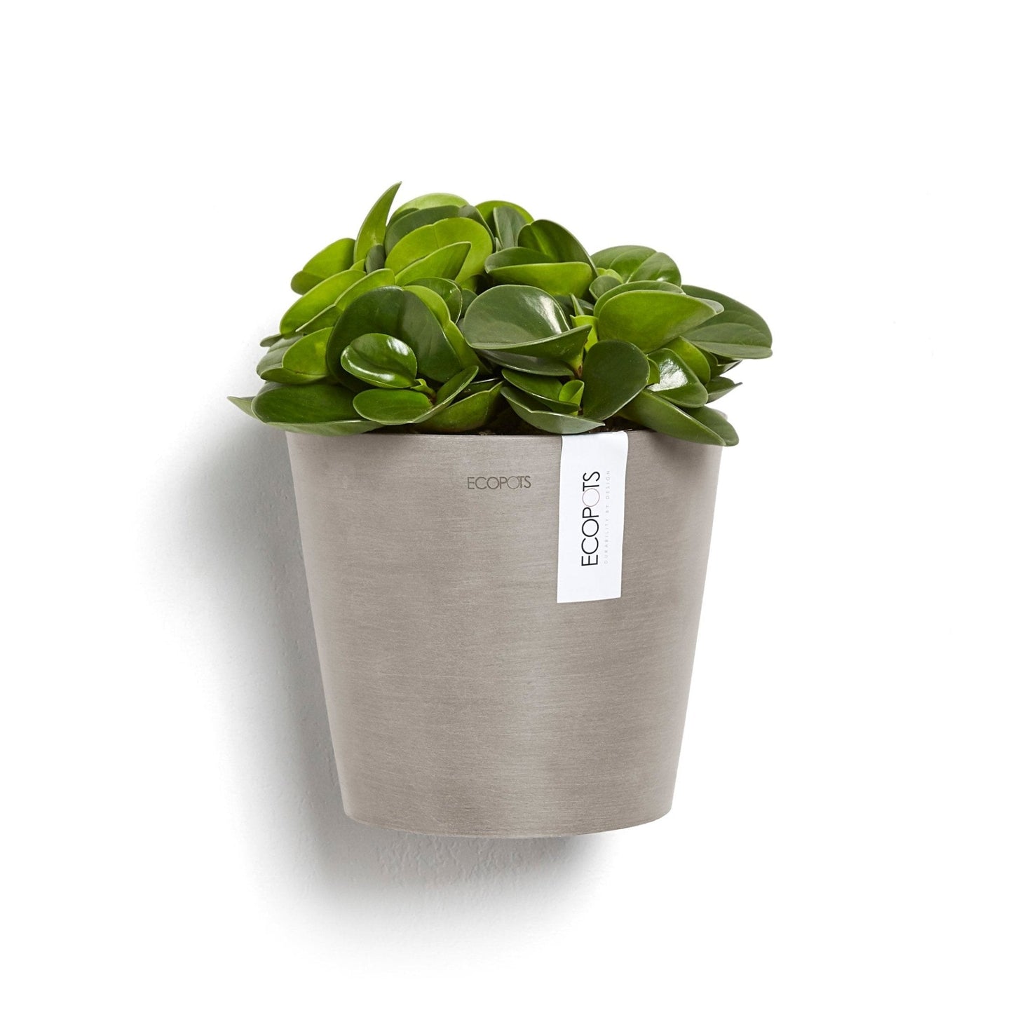 Kukkaruukku - Ecopots - Kukkaruukku Amsterdam 20cm seinälle taupe - Ecopots - Uuden aikakauden kukkaruukku kierrätysmateriaalista