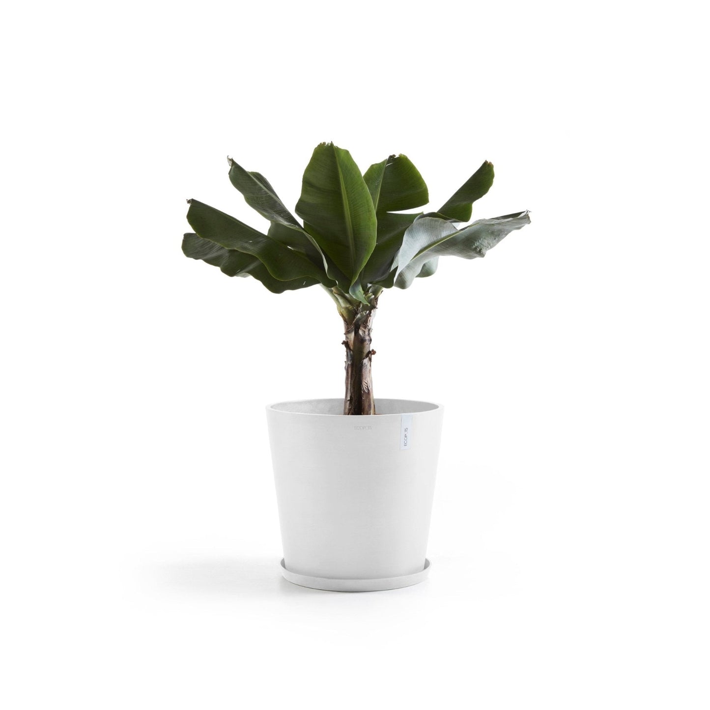 Kukkaruukku - Ecopots - Kukkaruukku Amsterdam 60cm valkoinen - Ecopots - Uuden aikakauden kukkaruukku kierrätysmateriaalista