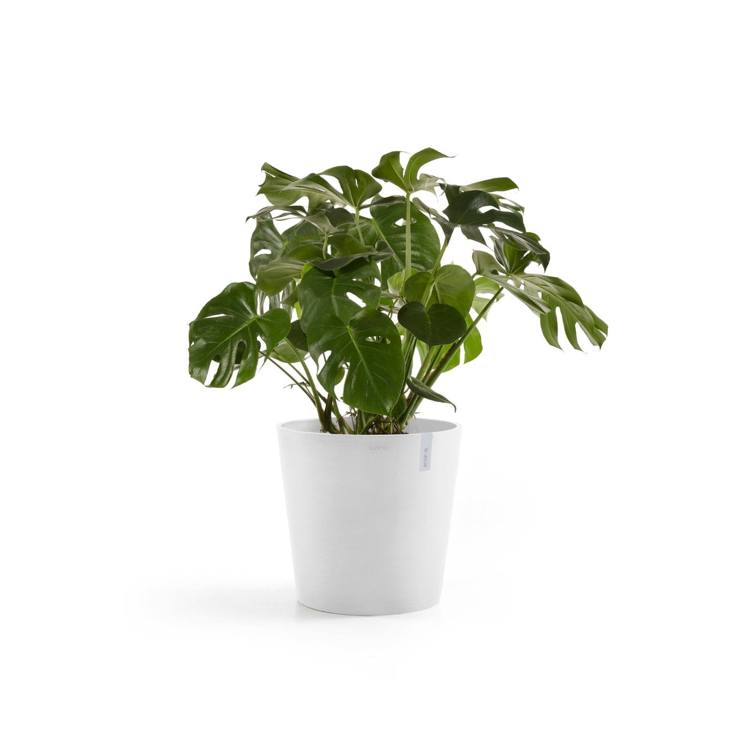Kukkaruukku - Ecopots - Kukkaruukku Amsterdam 60cm valkoinen - Ecopots - Uuden aikakauden kukkaruukku kierrätysmateriaalista