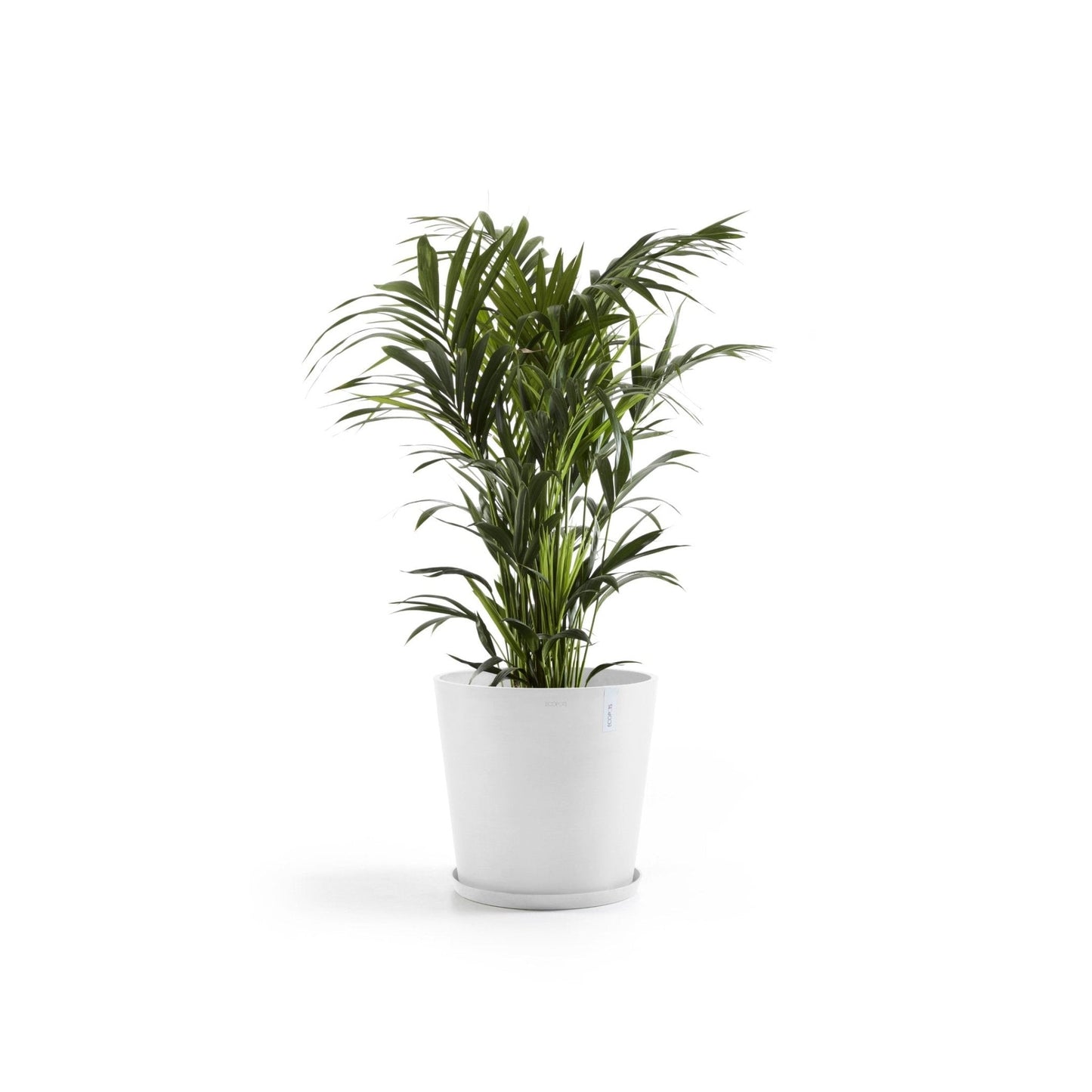 Kukkaruukku - Ecopots - Kukkaruukku Amsterdam 60cm valkoinen - Ecopots - Uuden aikakauden kukkaruukku kierrätysmateriaalista