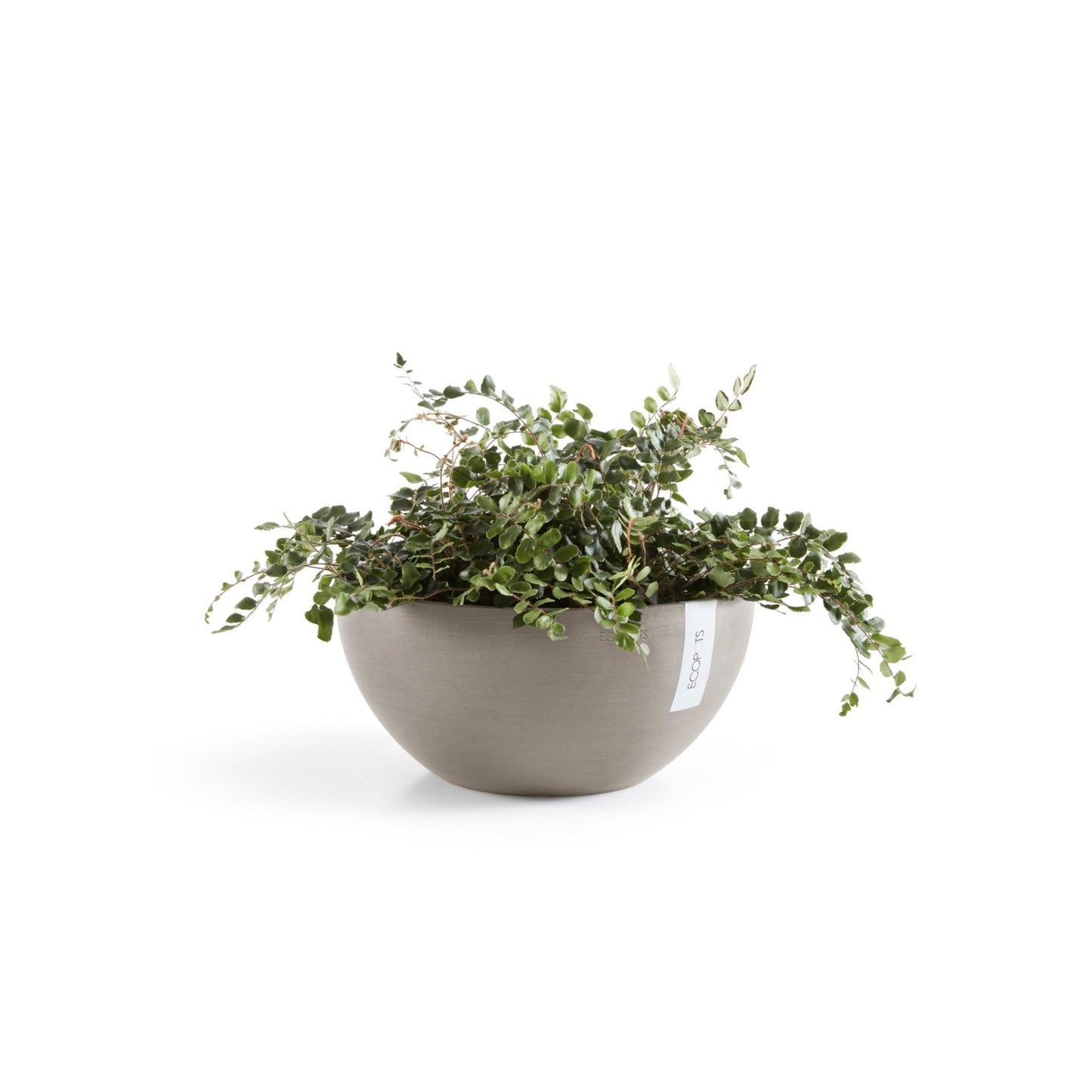 Kukkaruukku - Ecopots - Kukkaruukku Brysseli 35cm taupe - Ecopots - Uuden aikakauden kukkaruukku kierrätysmateriaalista